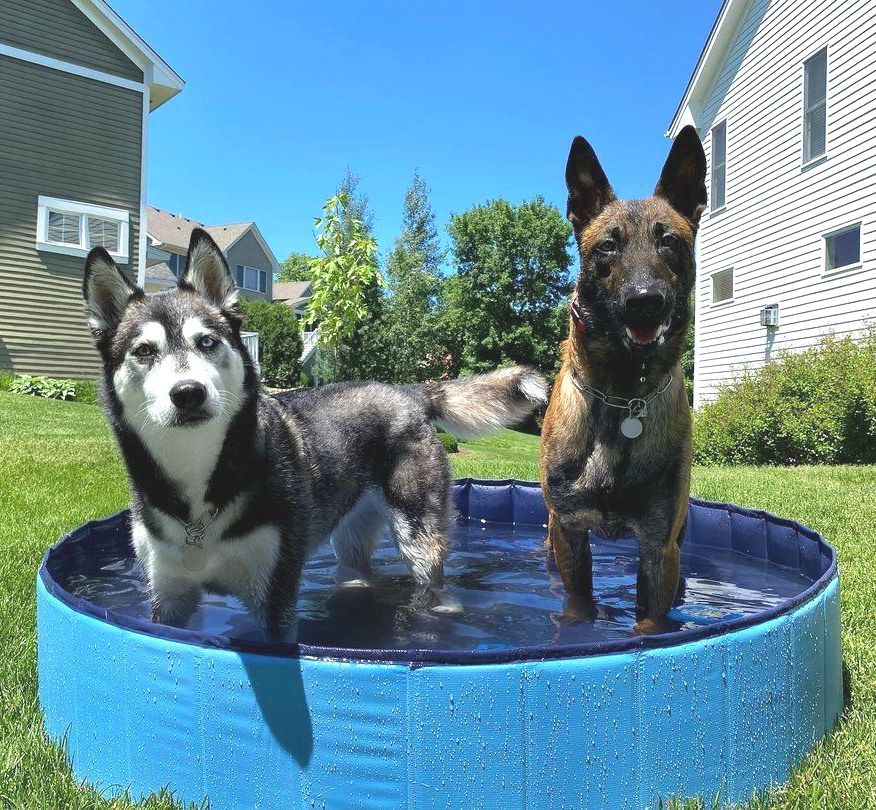 32*8in Foldable Dog Pet Bath Pool Collapsible Dog Pet Pool Bathing Tub Teen Pool Doggie Wading Pool for Puppy Small Medium Large Dogs Cats and Teen - Blue - Size 32*8in