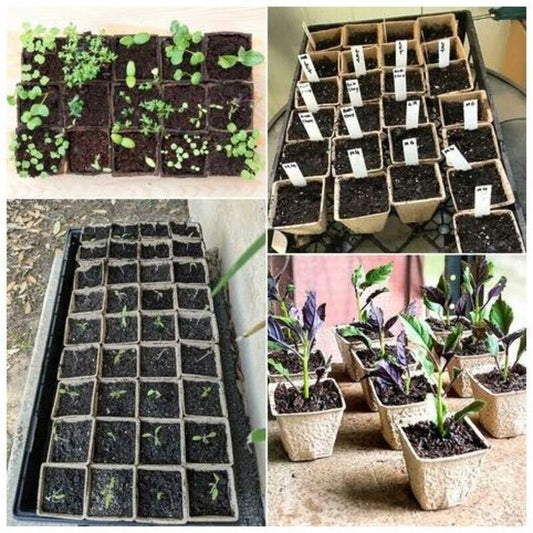 120 Pieces Biodegradable Seedling Pots, Biodegradable Pots, Biodegradable Seedling Pots for Seedlings, for Seedling Herbs, Flowers, Vegetables