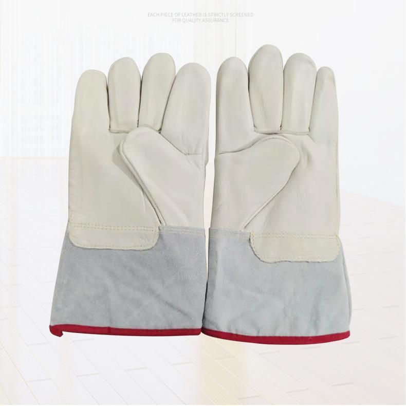 Low Temperature Gloves 50cm