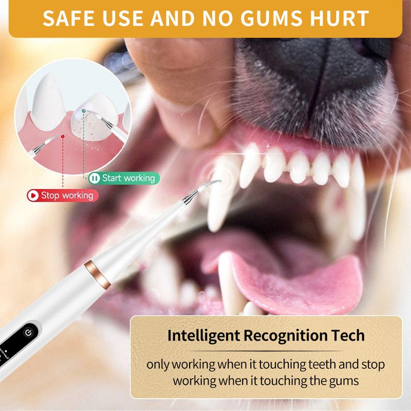 Ultrasonic Dog & Cat Dental Cleaner Kit – Electric Toothbrush for Tartar & Plaque Removal-blue