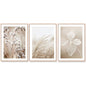 Wall Art 60cmx90cm Dried Flower 3 Sets Wood Frame Canvas