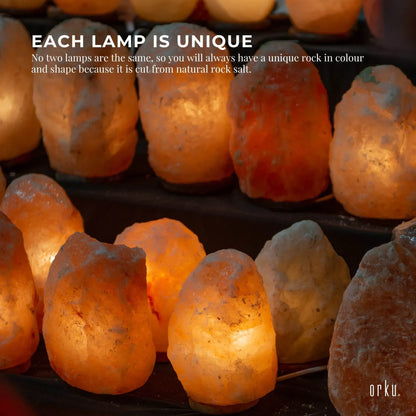 12V 12W 1-2kg Himalayan Pink Salt Diffuser Essential Oil Lamp Aromatherapy On/Off