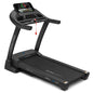 Lifespan Fitness Boost 2 Treadmill