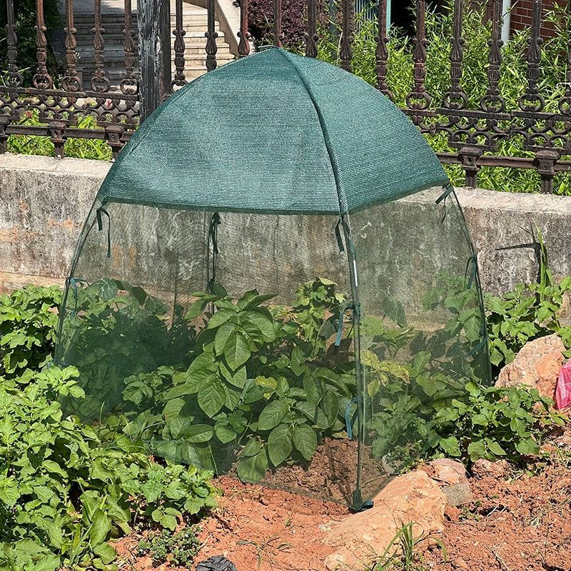 Plant and Vegetable Protective Cover Insect Proof Mesh Garden Netting Cover - 91x91x95cm