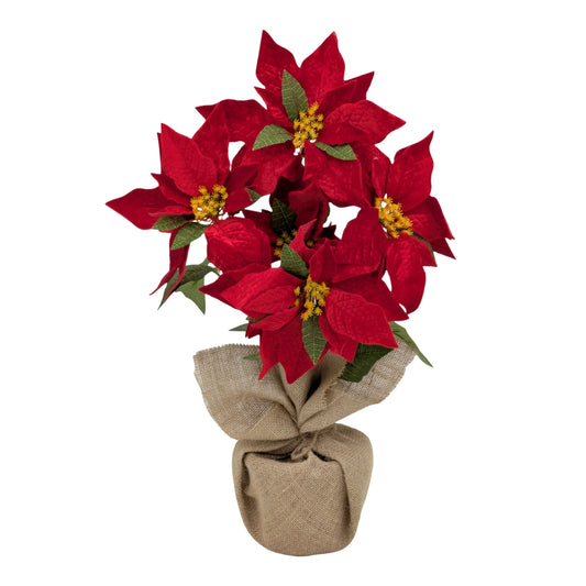 Xmas Poinsettia In Hessian Pot 48cm