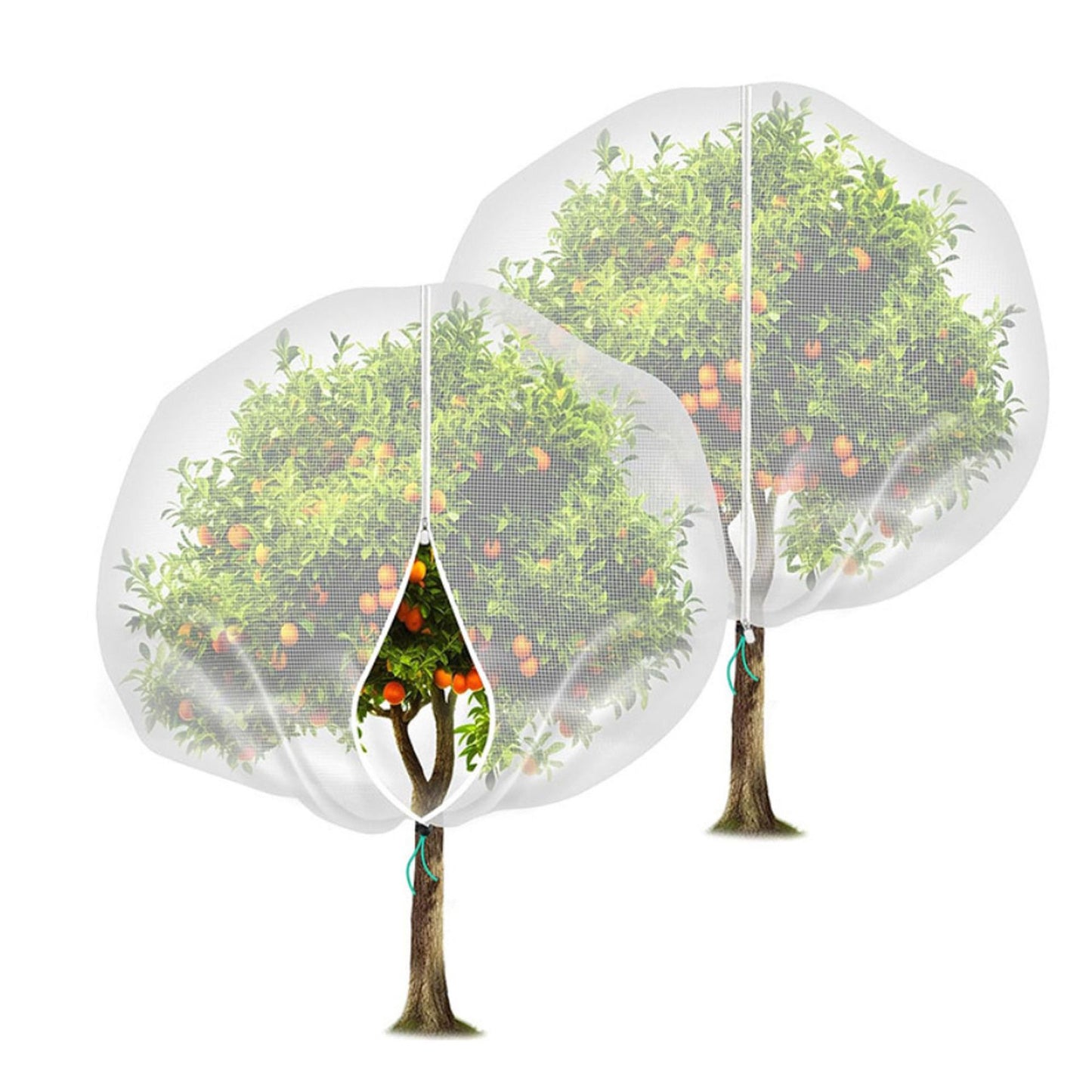 Fruit Tree Netting Cover with Zipper (80x120cm)- Plastic Mesh Bird and Insect Protection for Citrus, Blueberries, Vegetables, Garden Harvest Saver