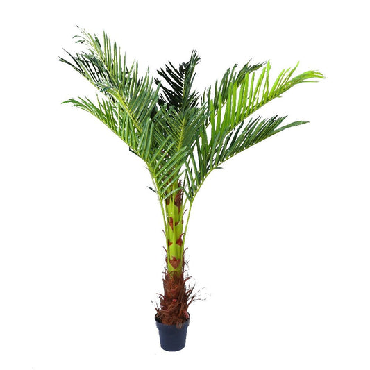 180cm Phoenix Palm - Artificial Plant, Home Decor Flora