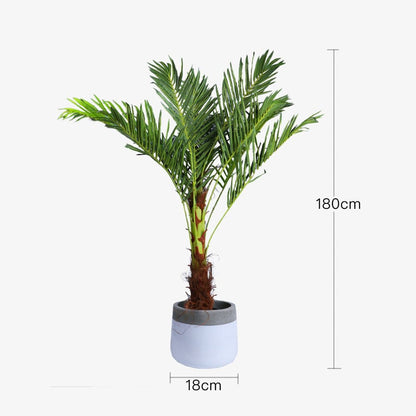 180cm Phoenix Palm - Artificial Plant, Home Decor Flora