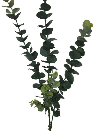 5 Pack - Long Eucalyptus Stem 77 cm