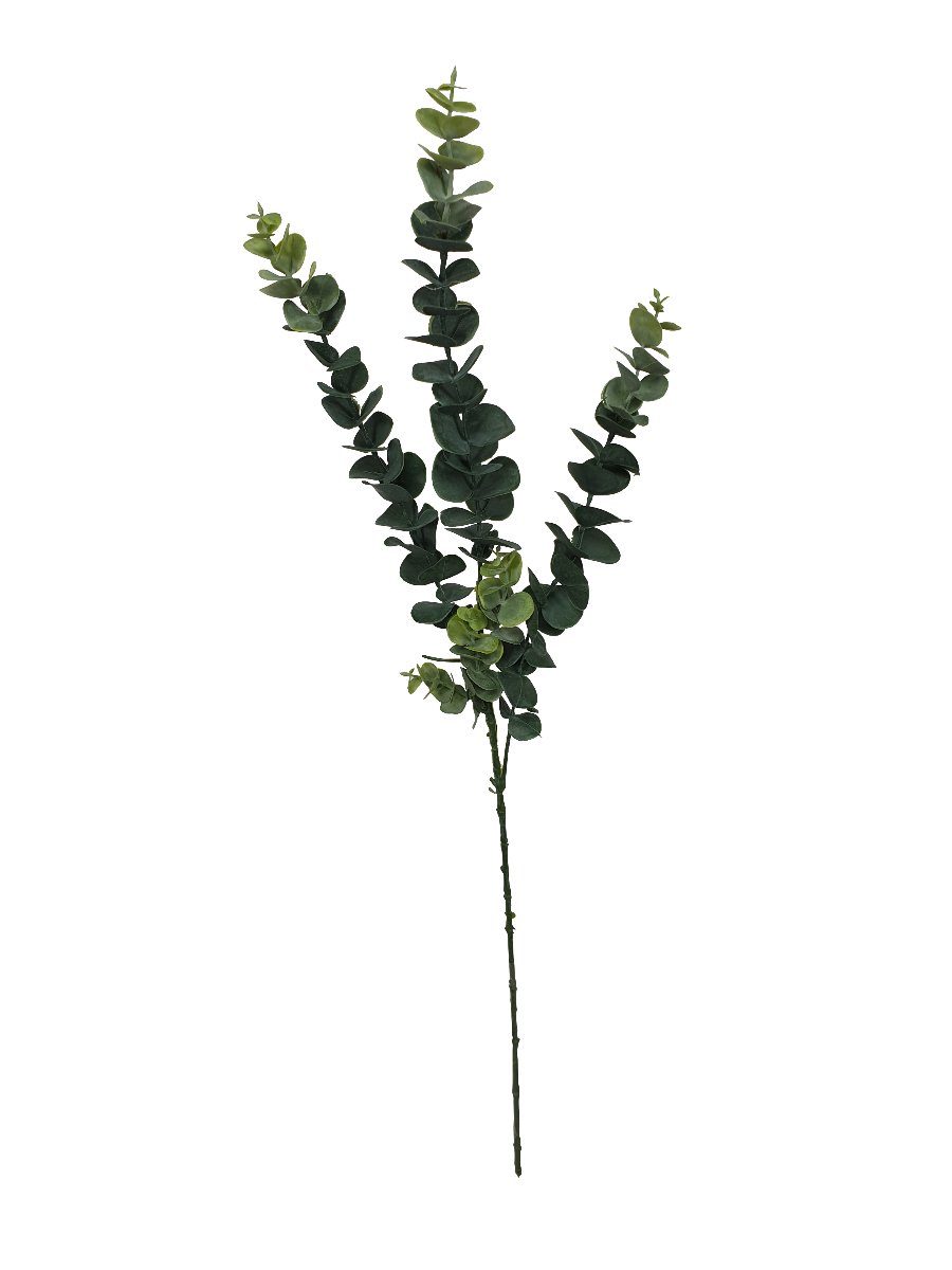 5 Pack - Long Eucalyptus Stem 77 cm