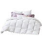 80% Goose Down 20% Goose Feather Quilt - King