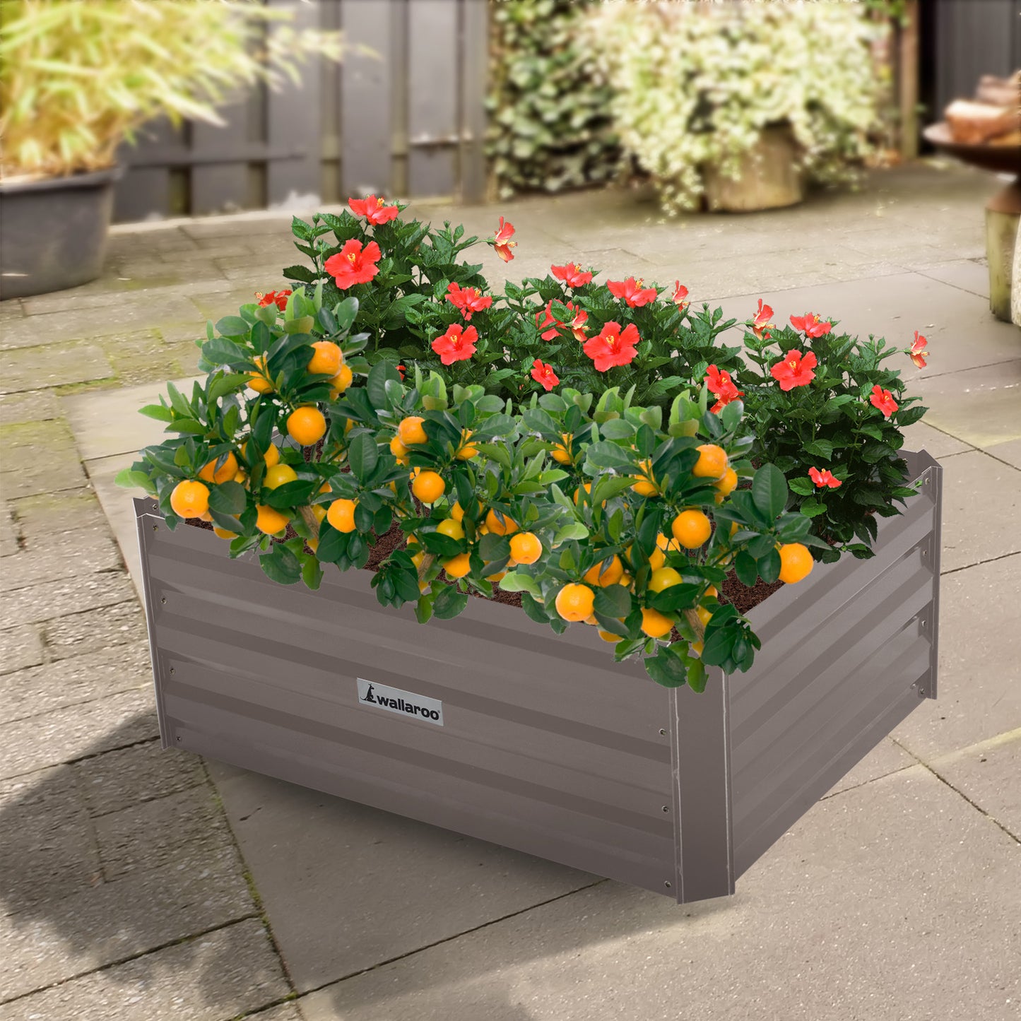 Wallaroo Garden Bed 80 x 60 x 30cm Galvanized Steel - Grey