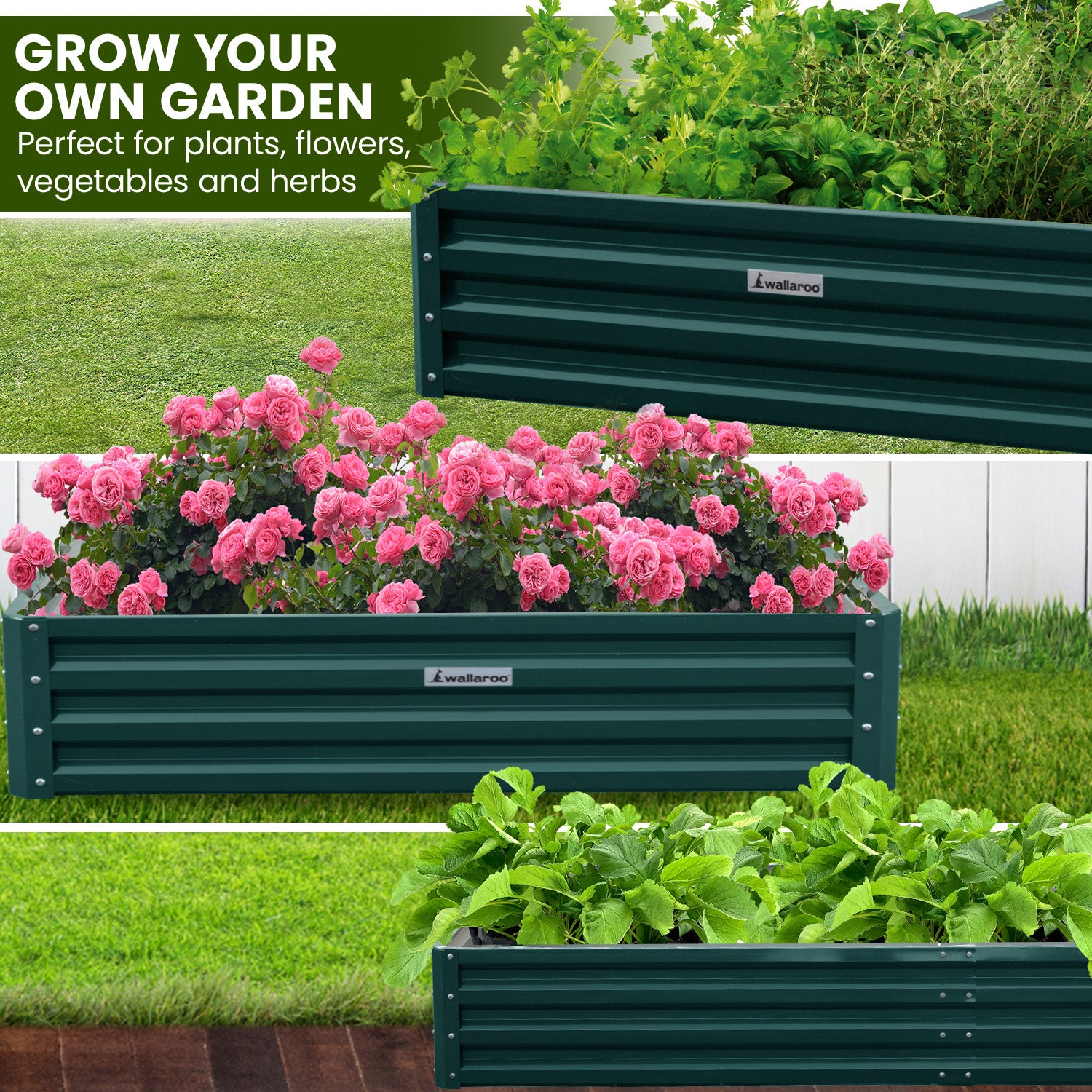 Wallaroo Garden Bed 240 x 120 x 30cm Galvanized Steel - Green