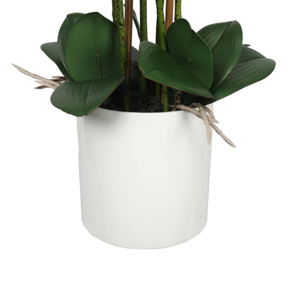 Large Multi-Stem White Potted Faux Orchid 65cm