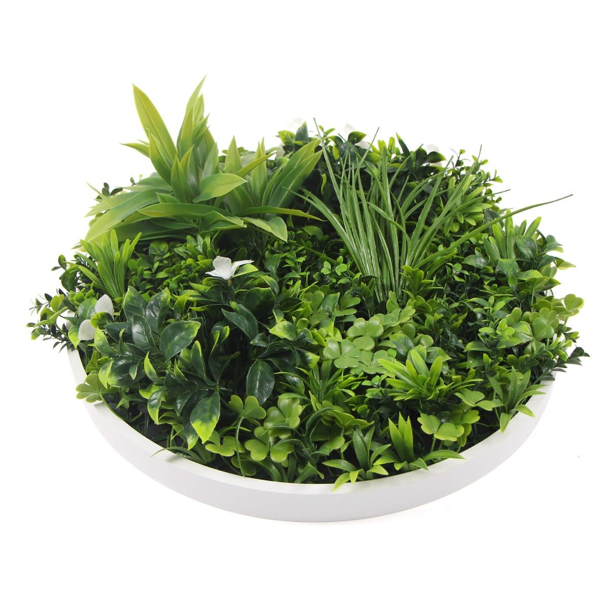 Flowering White Artificial Green Wall Disc UV Resistant 50cm (White Frame)