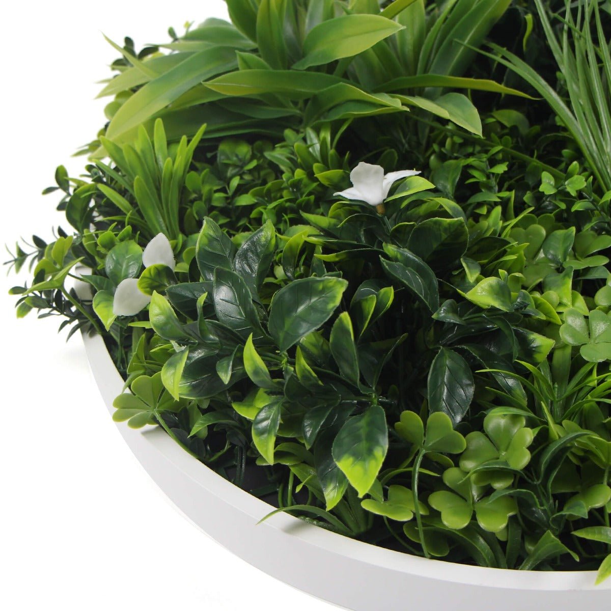 Flowering White Artificial Green Wall Disc UV Resistant 50cm (White Frame)