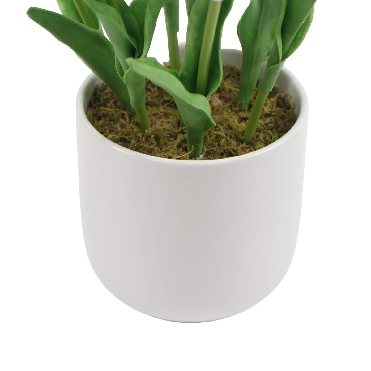 Flowering White Artificial Tulip Plant Arrangement With Ceramic Bowl 35cm